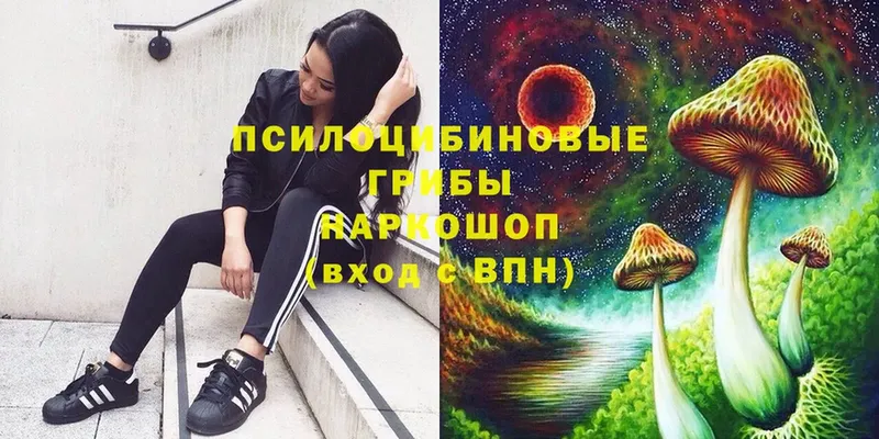 Псилоцибиновые грибы Magic Shrooms  Йошкар-Ола 